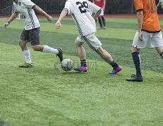 郑钦文出局,引发网友共,晨报同仁感,开云直播足球,足球直播平台,足球赛事直播信息,足球比赛赛程,足球赛事资讯