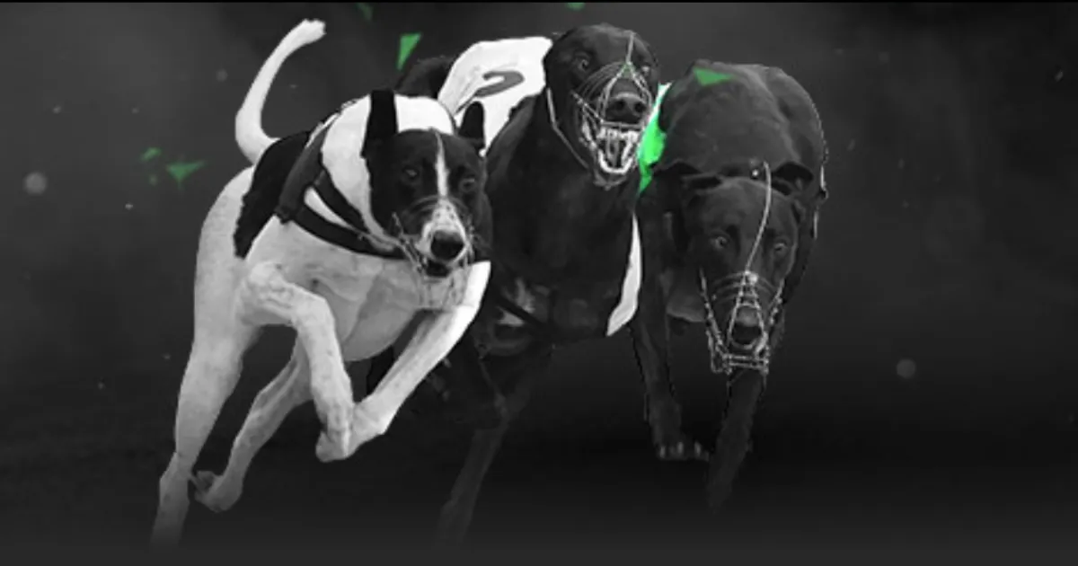 申花四主力,球员接近黄,牌累积红线,开云直播足球,足球直播平台,足球赛事直播信息,足球比赛赛程,足球赛事资讯