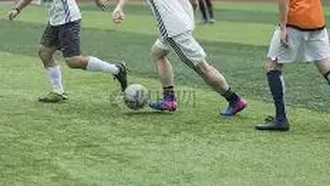 郑钦文出局引发网友共情，晨报同仁感同身受